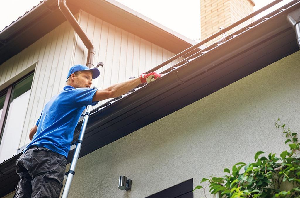 professional-gutter-cleaning-on-ladder-1024x675