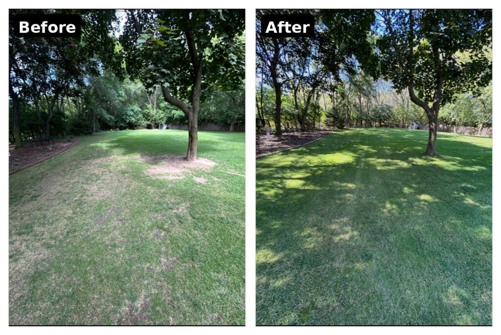 before-after-side-by-side